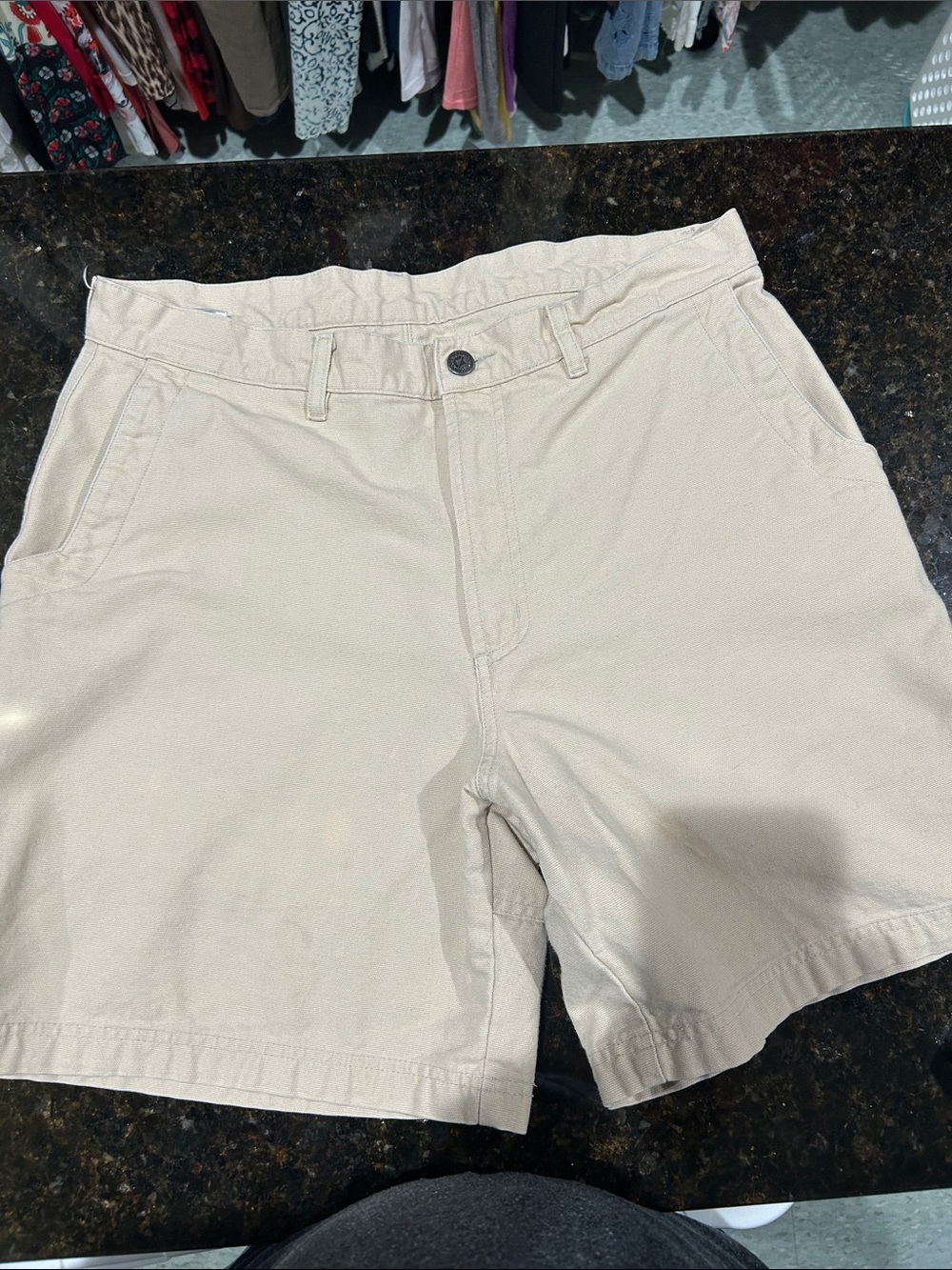 Patagonia Men's Beige Flat-Front Cotton Shorts